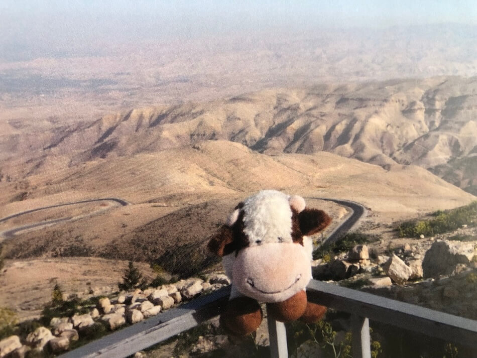 Mascotte voyage Squeezie en Jordanie