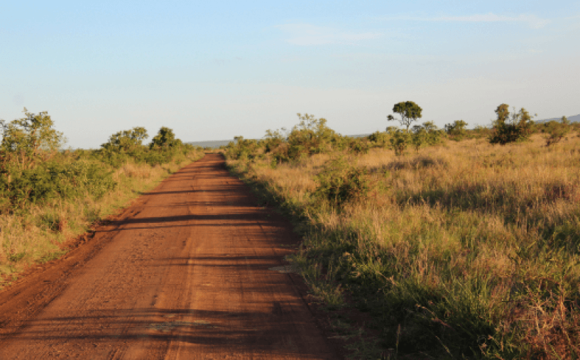 Piste dans Kruger - Afrique du Sud