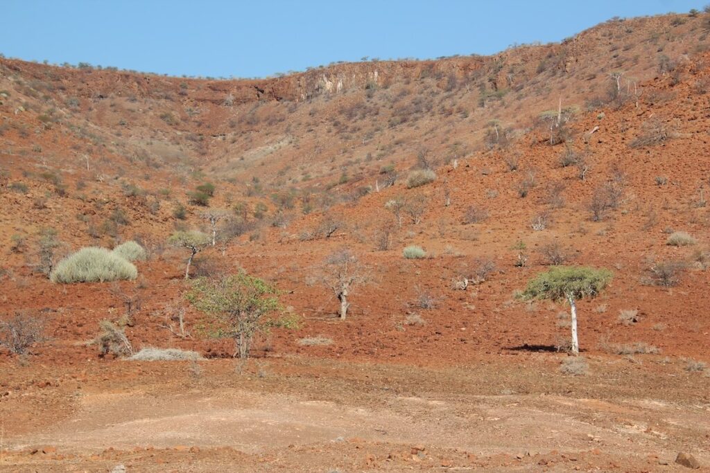 Damaraland Namibie