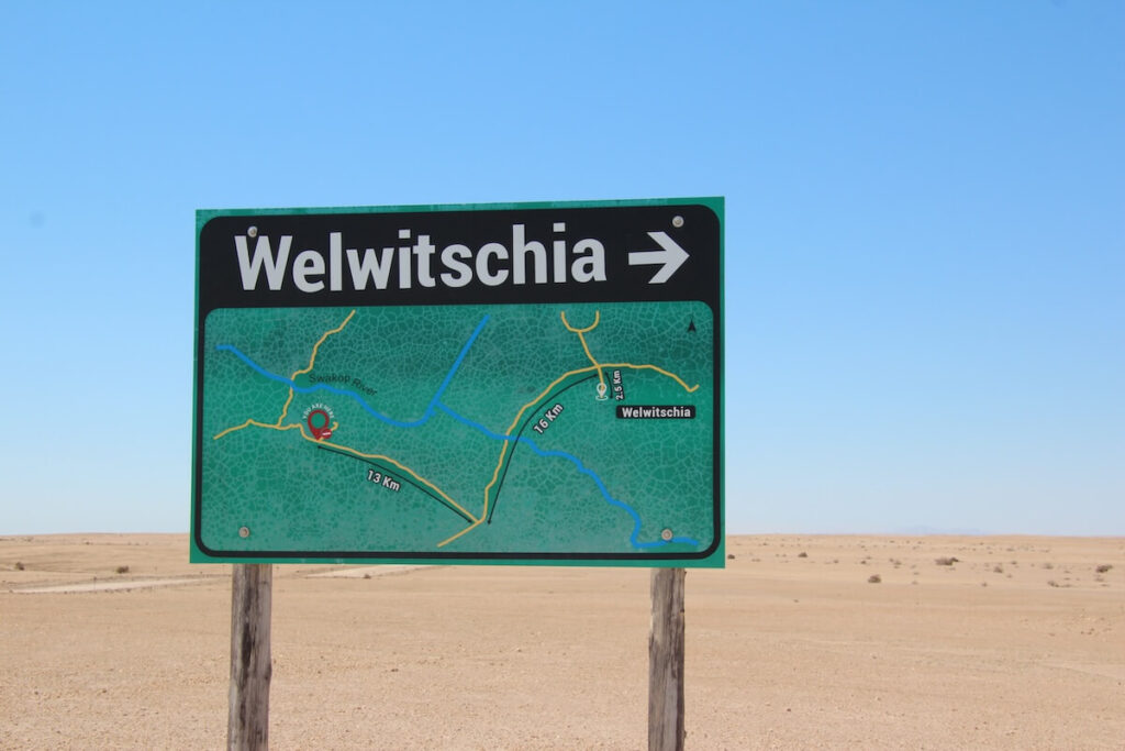 Voyage en Namibi - Weltwitschias Road