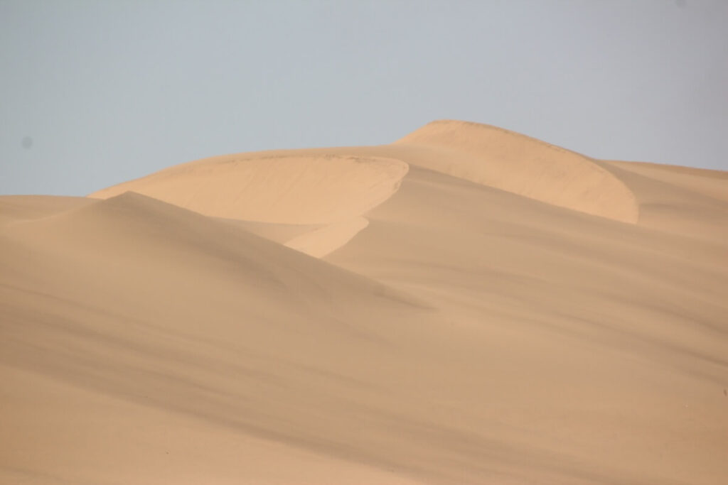 Voyage en Namibie - La lagune de Walvis Bay