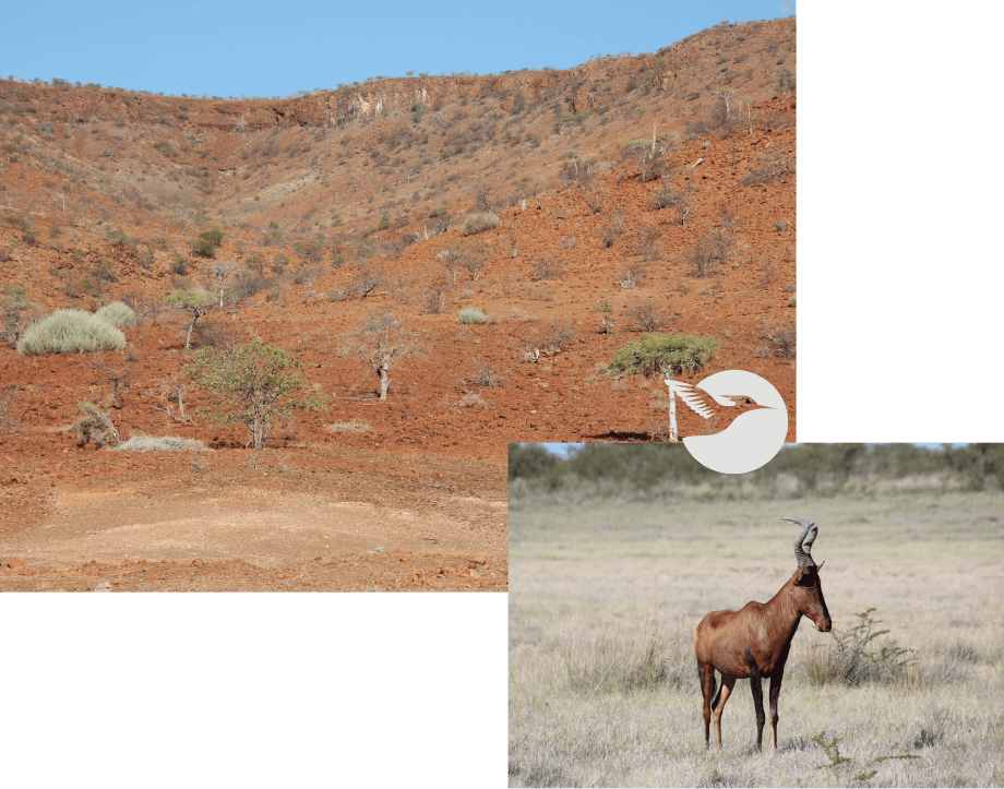 Voyage en Namibie