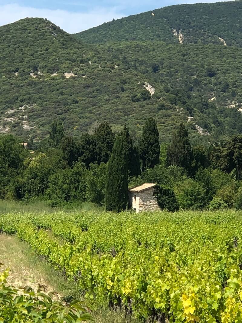 La route de la lavande Drome Provençale 3