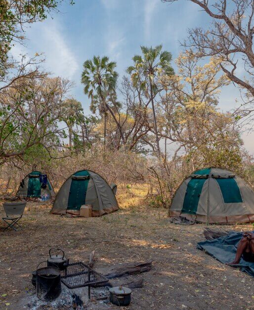 Logement pour safari - 3