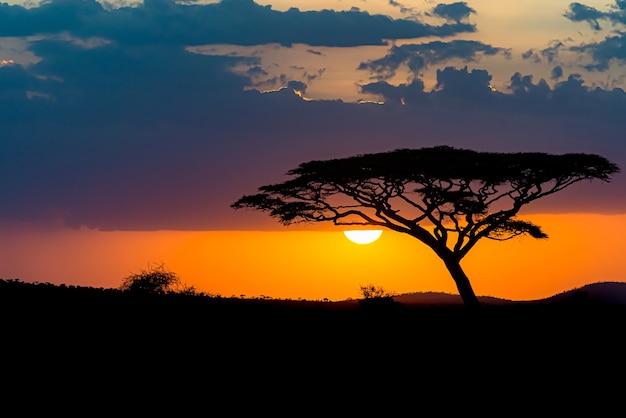 Coucher de soleil Tanzanie