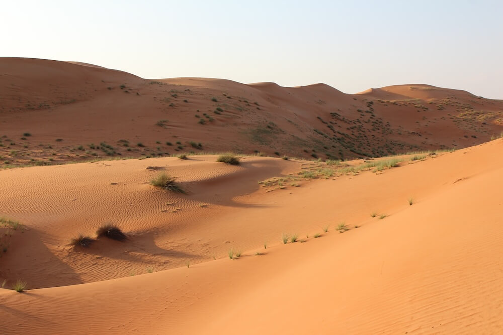 Desert Wahiba Oman - 1